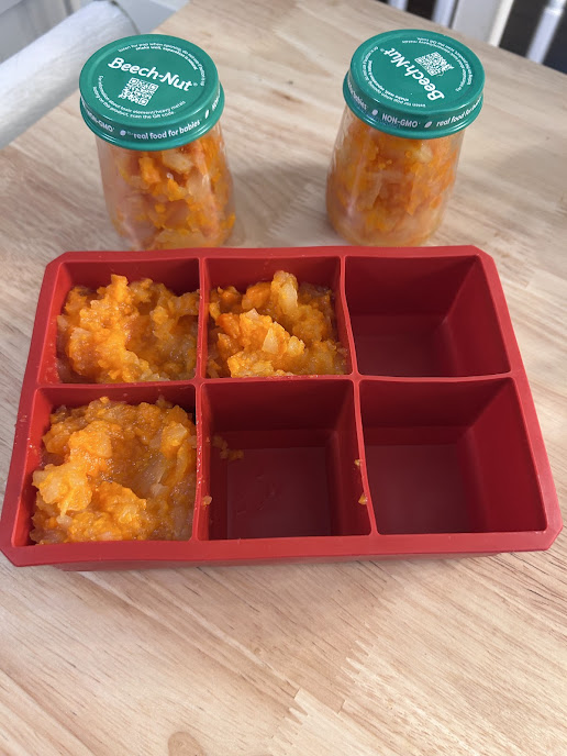 Finished baby food in jars and ice cube trays